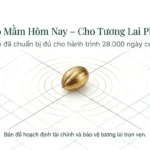 cung-gieo-mam-cho-tuong-lai